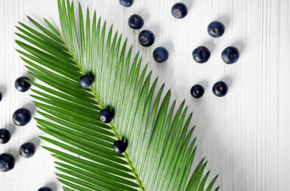 De Kracht van Açaí: Van Amazone tot Superfood Sensatie – Alles wat je moet weten!