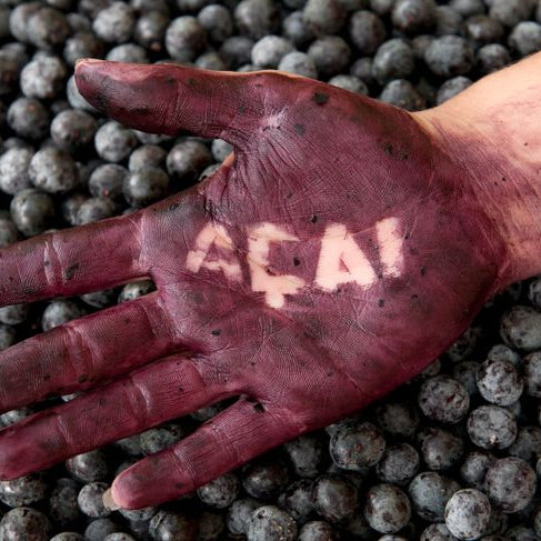 Açaí Kopen in Leiden? Jouw Perfecte Gezonde Keuze!