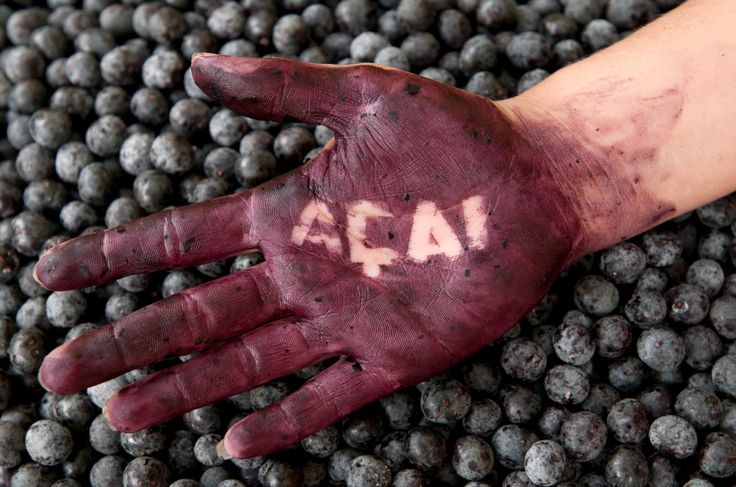 Açaí Kopen in Leiden? Jouw Perfecte Gezonde Keuze!