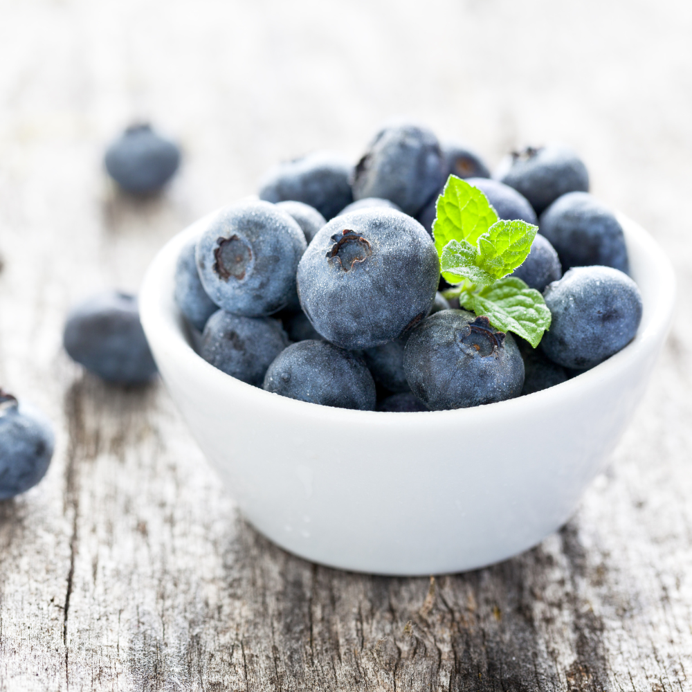 Canadian Wild Blueberry Frozen Whole Fruit