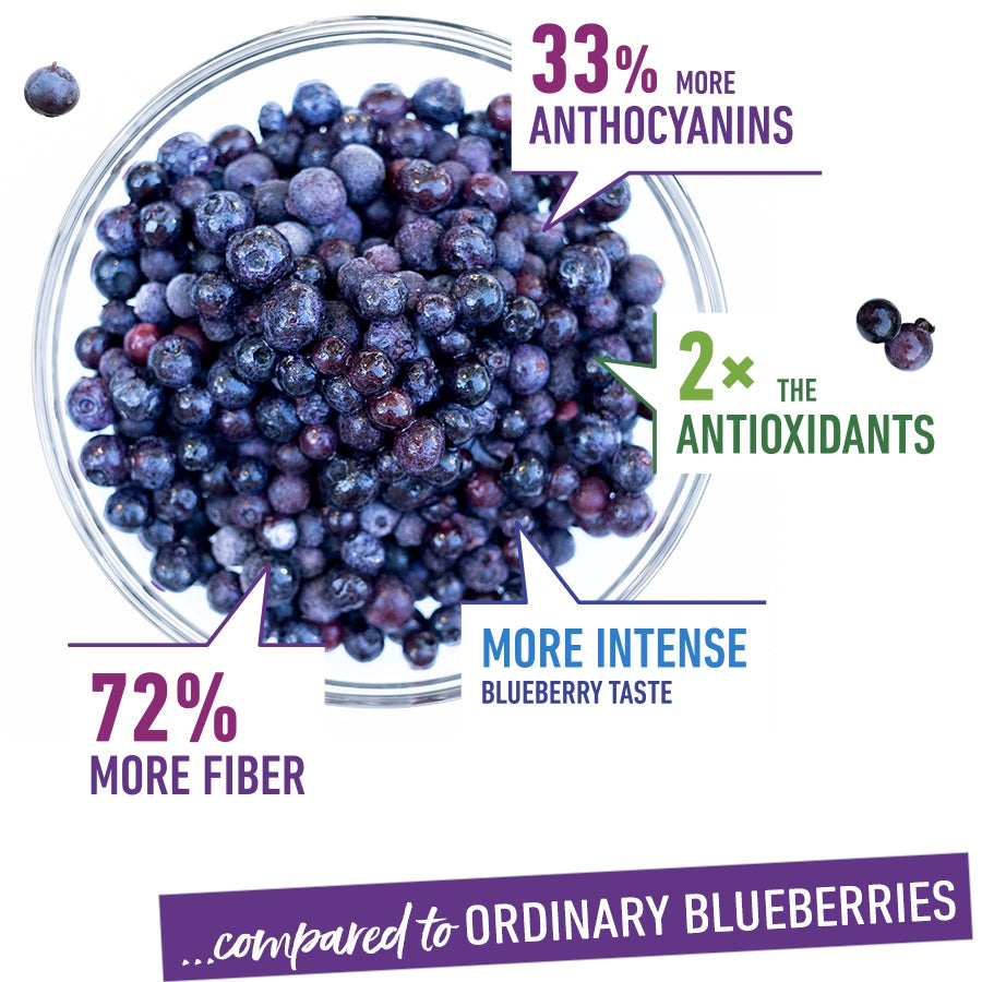 Canadian Wild Blueberry Frozen Whole Fruit