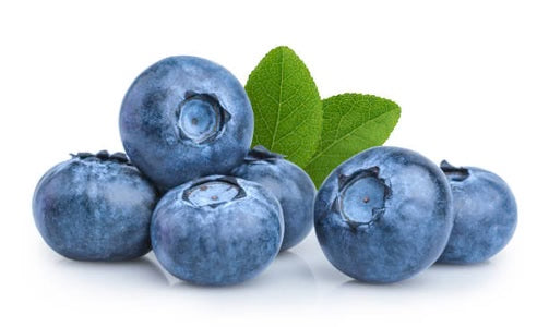 Canadian Wild Blueberry Frozen Whole Fruit